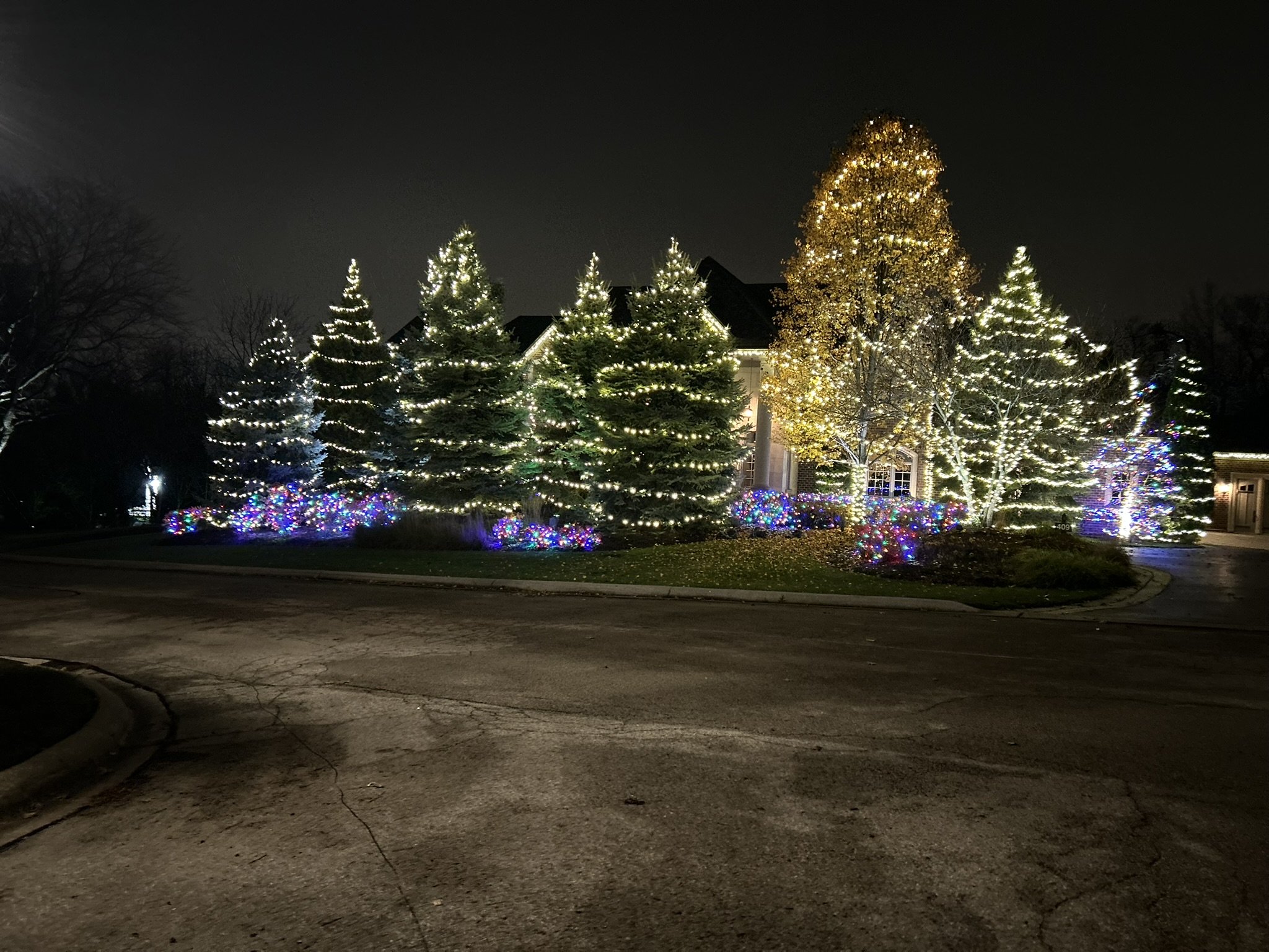 Christmas tree and bush lighting by Twinkle Bros